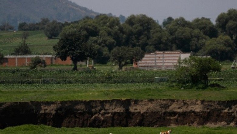 Aparecen extrañas figuras en cultivos cercanos al socavón de Puebla