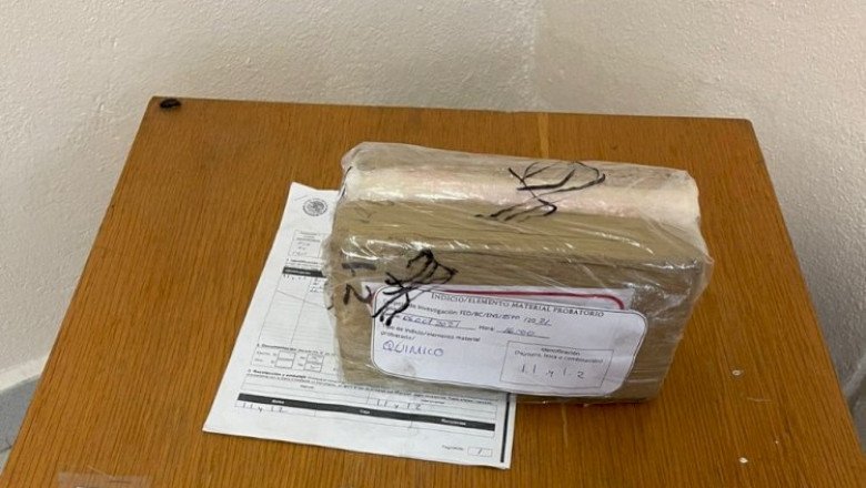 Asegura Marina droga en un contenedor