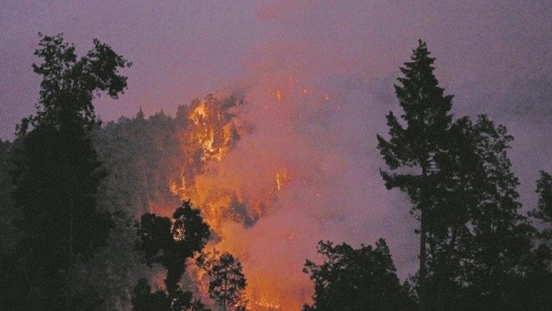 Brigadistas trabajan para sofocar terrible incendio en Nuevo León 