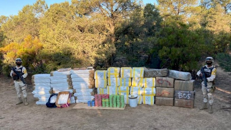 Decomisan más de  300 millones de pesos en diferentes sustancias