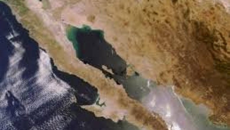 Disminuye un 32% la oferta de empleo en Baja California en 2020