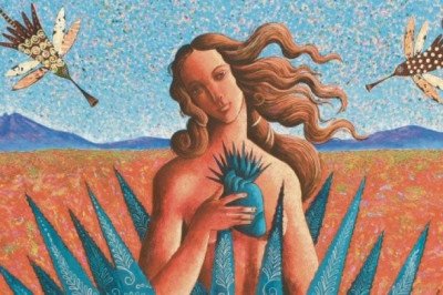 El arte agavero llega a la Cámara de Comercio