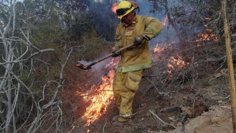 Exhorta Dirección de Bomberos a prevenir incendios forestales