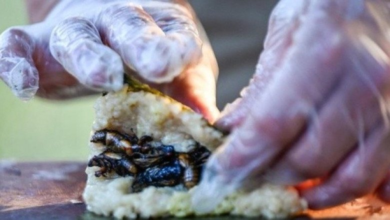 Fotogalería: Sushi de cigarra, el crujiente manjar de un chef en EU