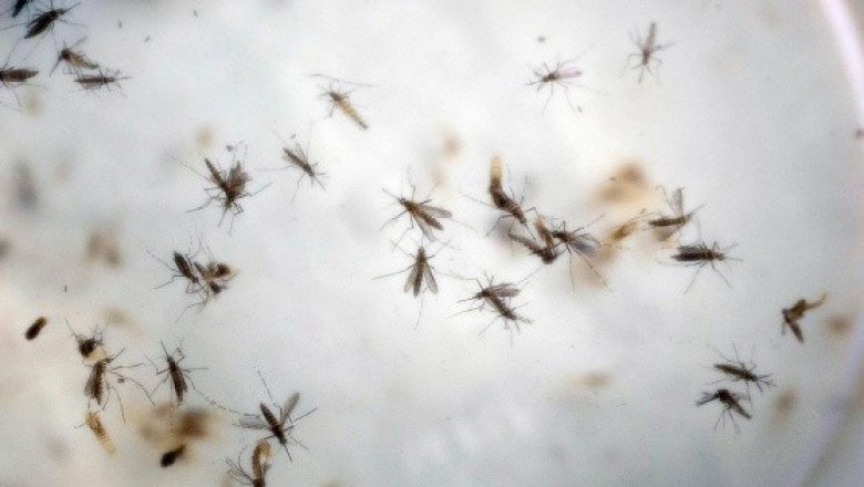 + Informador: Las noticias del 1 de julio de 2020