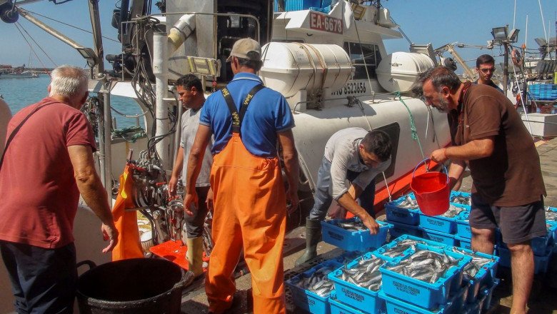 La justicia europea da la razón al Polisario y ordena anular los acuerdos de comercio y pesca entre Marruecos y la UE