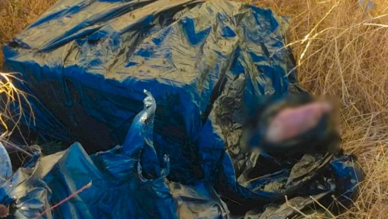 Localizan bolsa con restos humanos en Tecate