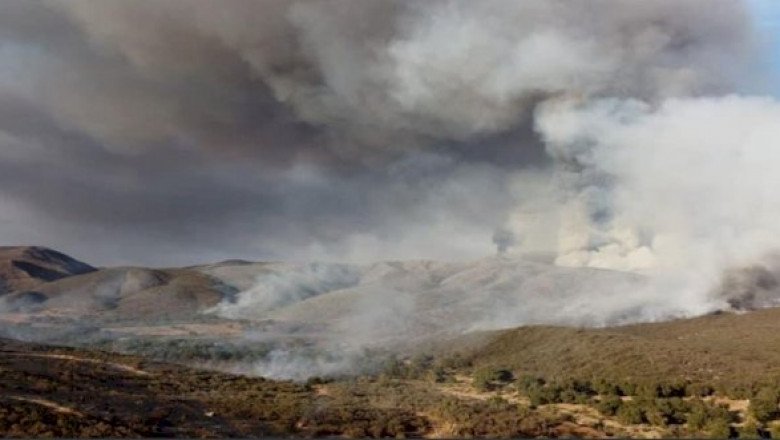 Los tres órdenes de gobierno combaten incendio en Rancho Bakarta
