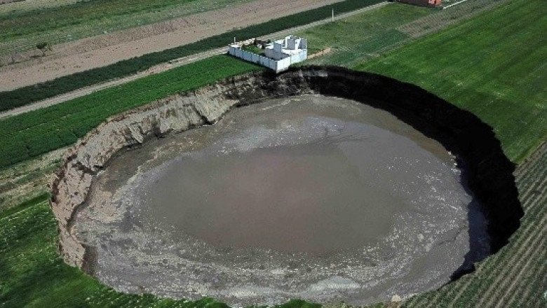 Perro pitbull cae en socavón de Puebla