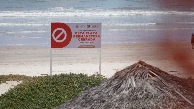 Presenta Gobierno Municipal denuncia ante la Profepa