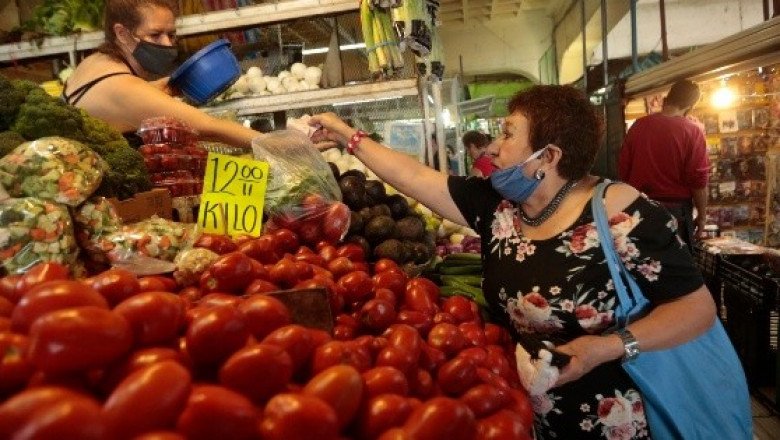 Reportan 28 muertes este lunes por COVID-19 en Jalisco