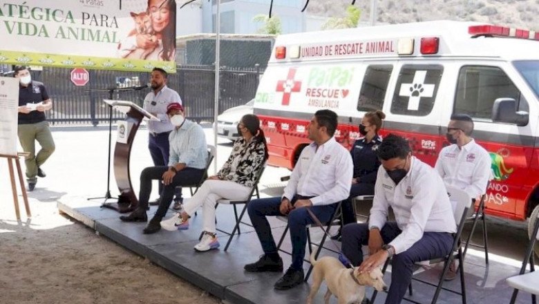 Tendrá Ensenada un CACYF y ambulancia de rescate animal