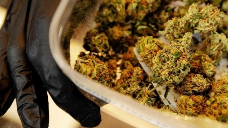 Aprueban grupo de trabajo del Senado para agilizar la regulación del cannabis