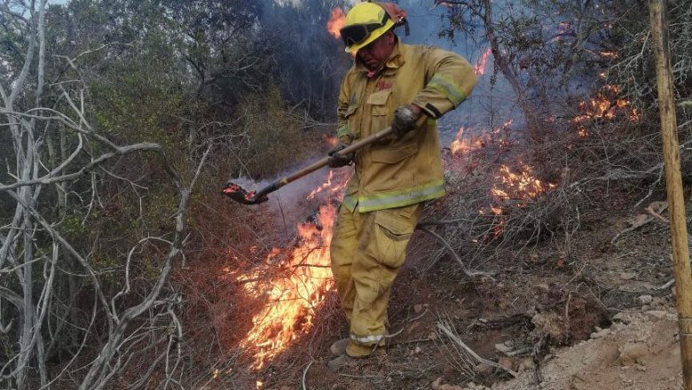 Atiende Dirección de Bomberos 71 reportes en enero
