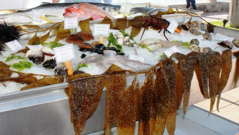 DISFRUTARÁN MÁS DE 45 RECETAS A BASE DE PESCADOS Y MARISCOS EN “COCINA LA BAJA”