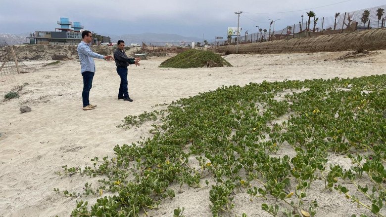 Verifican Ecología Municipal y Pro Esteros estado actual de la duna en Playa Hermosa