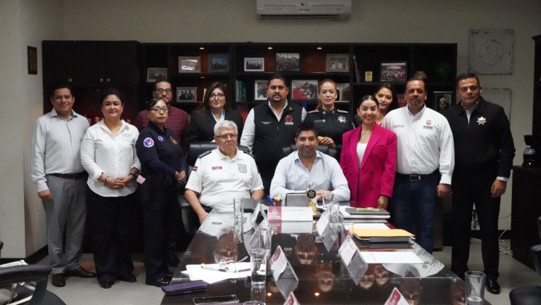 Tendrá Ensenada Escuadrón Violeta