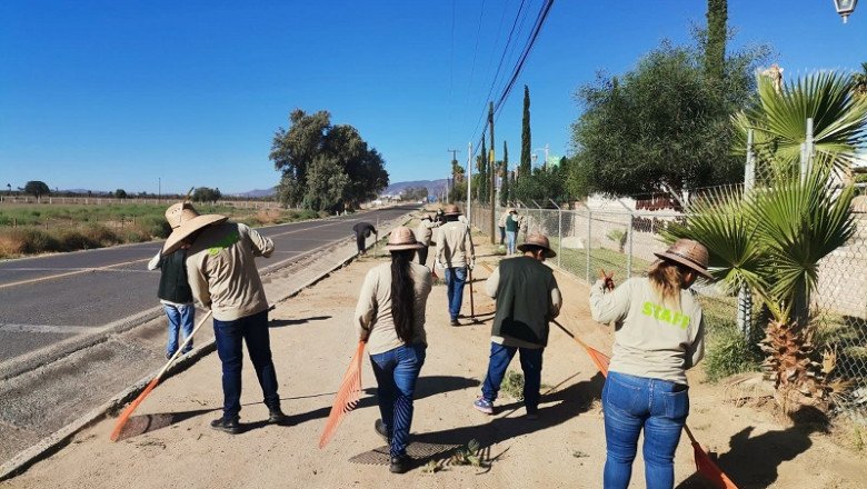 EN MARCHA CUARTA CAMPAÑA DE LIMPIEZA EN EL VALLE DE GUADALUPE