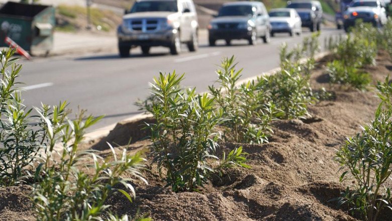 Supervisa Alcalde labores de Servicios Públicos en El Sauzal de Rodríguez