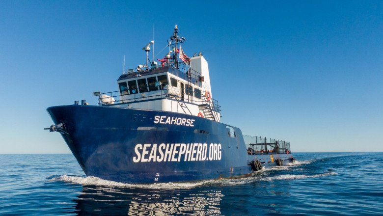 Sea Shepherd cuenta con un nuevo barco para proteger a la Vaquita Marina
