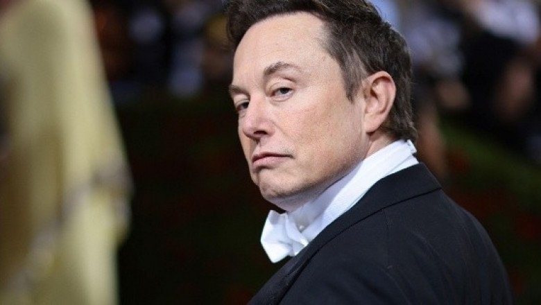 Elon Musk,"¿Tigre o rayado?", le preguntan al dueño de Tesla
