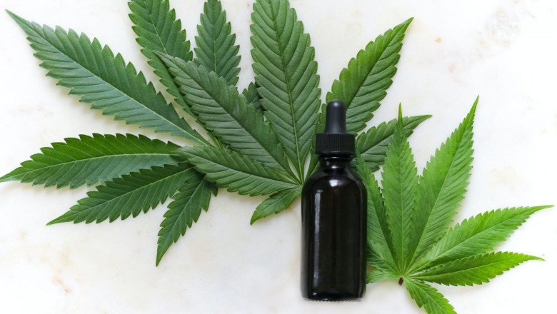 URGE QUE COFEPRIS DIFERENCIE CANNABIS Y CÁÑAMO. NO PUEDE CONSIDERAR AMBOS DAÑINOS PARA LA SALUD