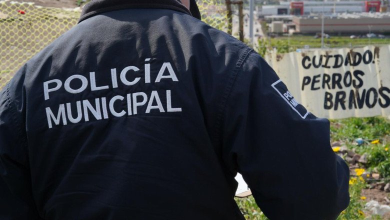 Autoridades municipales resguardan a 24 perros callejeros de Valle Dorado
