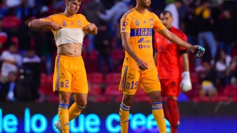 ¿Dónde ver EN VIVO el partido Tigres vs Puebla?