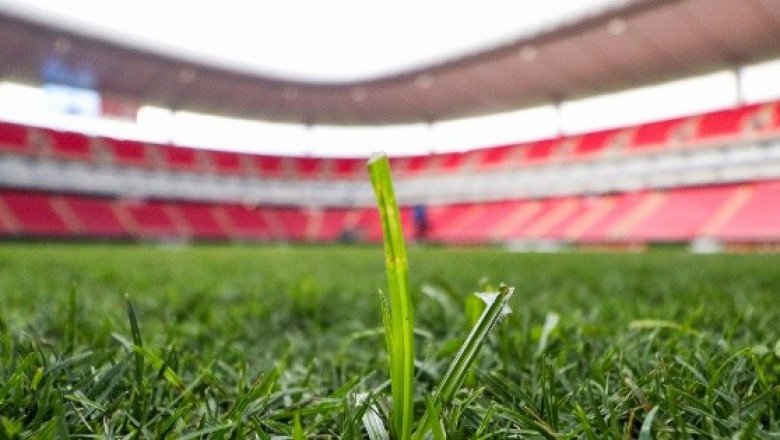 Revelan estado del pasto en el Estadio Akron tras pelea del Canelo