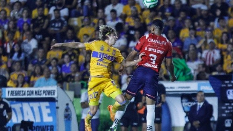 ¿Dónde ver EN VIVO el partido de vuelta de la final Chivas vs Tigres?
