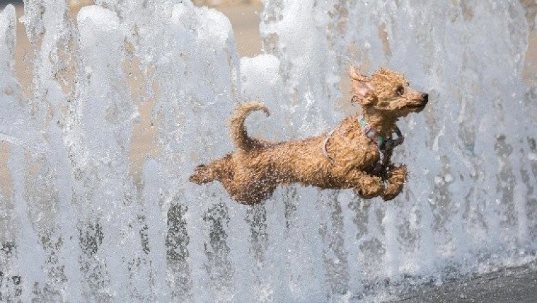 Sin novedad: calor y viento predominarán en Guadalajara