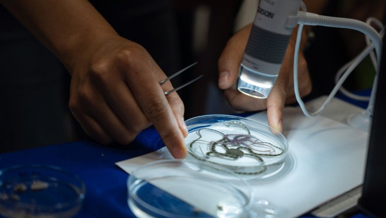 Realizan en CICESE exposición sobre el valor de los océanos ante los cambios del clima