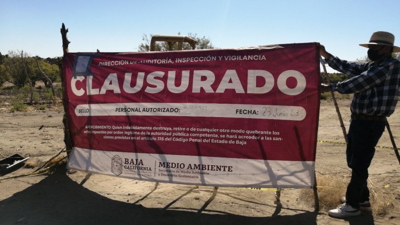 Vierten desechos de pescado de manera clandestina