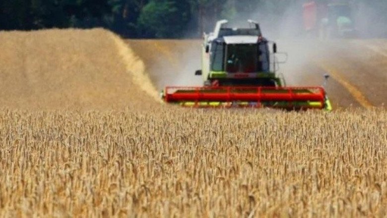 La ONU intenta que Rusia extienda el acuerdo de exportación de cereales de Ucrania