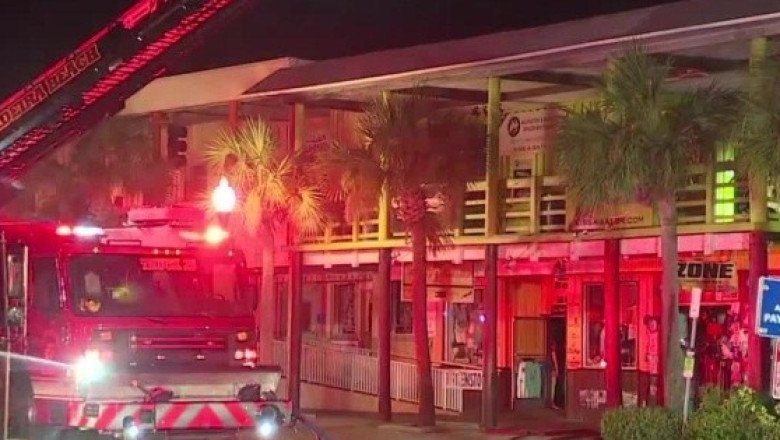 Mueren 40 animales en un incendio dentro de un santuario de vida salvaje en Florida