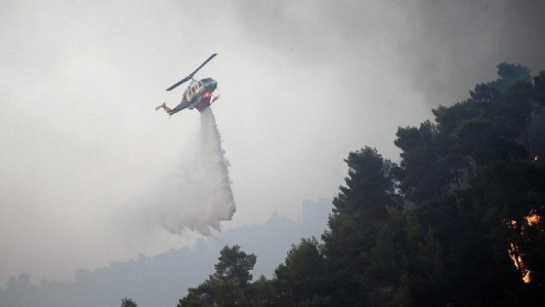 Casi 100 incendios provocan 15 muertos y decenas de heridos en Argelia