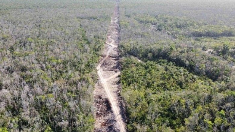 López Obrador decreta nueva expropiación para Tren Maya en Quintana Roo y Campeche