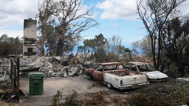Hawai trabaja para identificar a los 99 muertos de los incendios mientras busca entre las ruinas