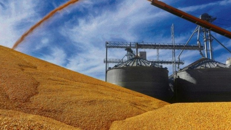 EU intensifica disputa con México por maíz transgénico