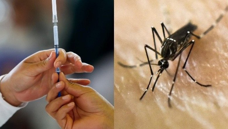 La OMS recomienda la primera vacuna contra el dengue