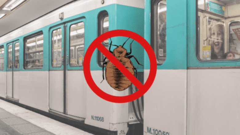Gobierno de Francia niega casos confirmados de chinches en metro o trenes