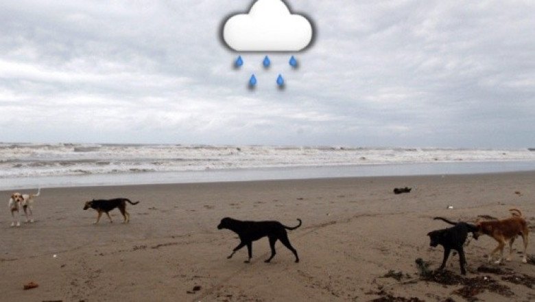 Arranca la semana con lluvias fuertes para estos 5 estados