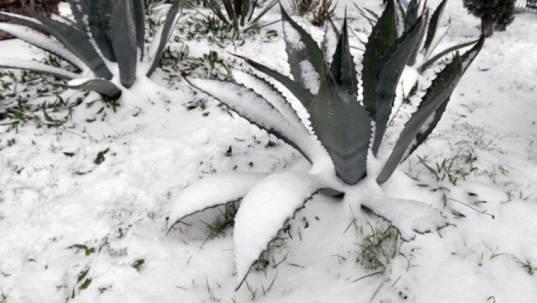 Estados que registraron nevadas o aguanieve este 22 de noviembre