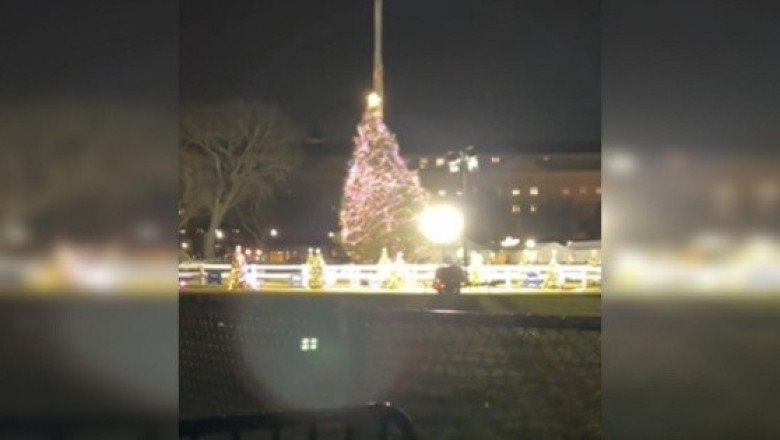 Fuertes vientos tumban árbol de Navidad de la Casa Blanca