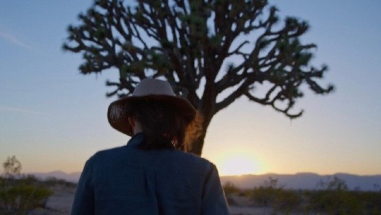 HBO Max: Este documental introspectivo sobre árboles nos dice mucho de la humanidad