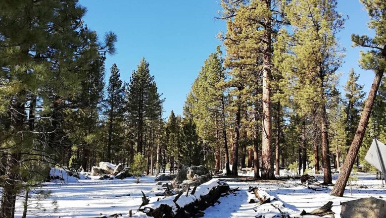 Se espera caída de nieve en sierras a partir de jueves