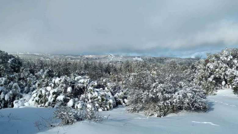 Ensenada registrará temperaturas mínimas de 2 °C