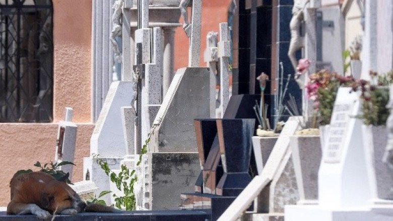 Esta fue la principal causa de muerte de mexicanos en primer semestre de 2023