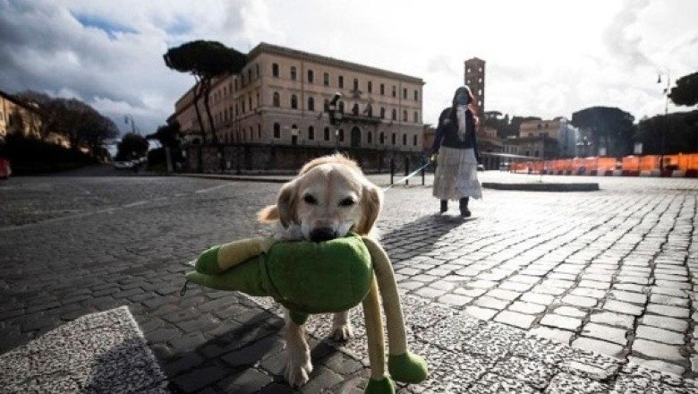 En esta ciudad italiana pagarán menos impuestos por adoptar un perro
