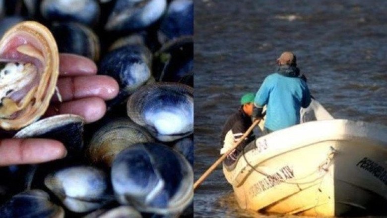 Cofepris lanza veda sanitaria por marea roja en este estado